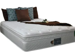 Customizable Euro Top Softside Waterbed Deep Fill Mattress.