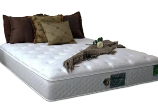 Plush Top Softside Waterbed