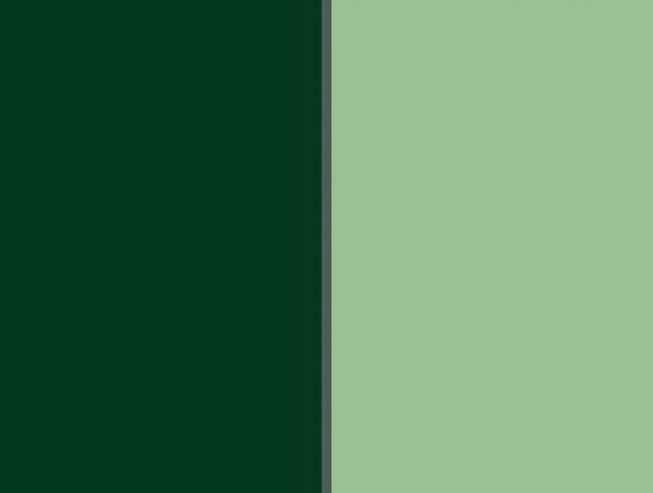 Comforters Fits Waterbed And Conventional Mattresses – Super Single, Reversible Hunter Green / Seafoam Green
