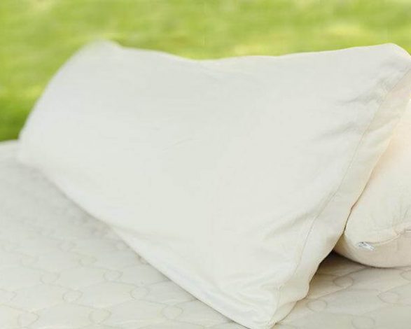 Organic Shredded Latex Body Pillow